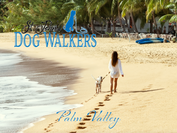 dog walking palm valley
