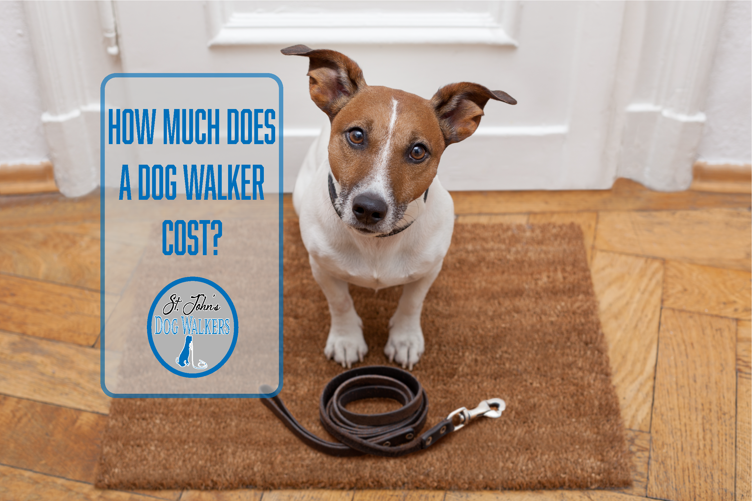 how much does a dog walker cost