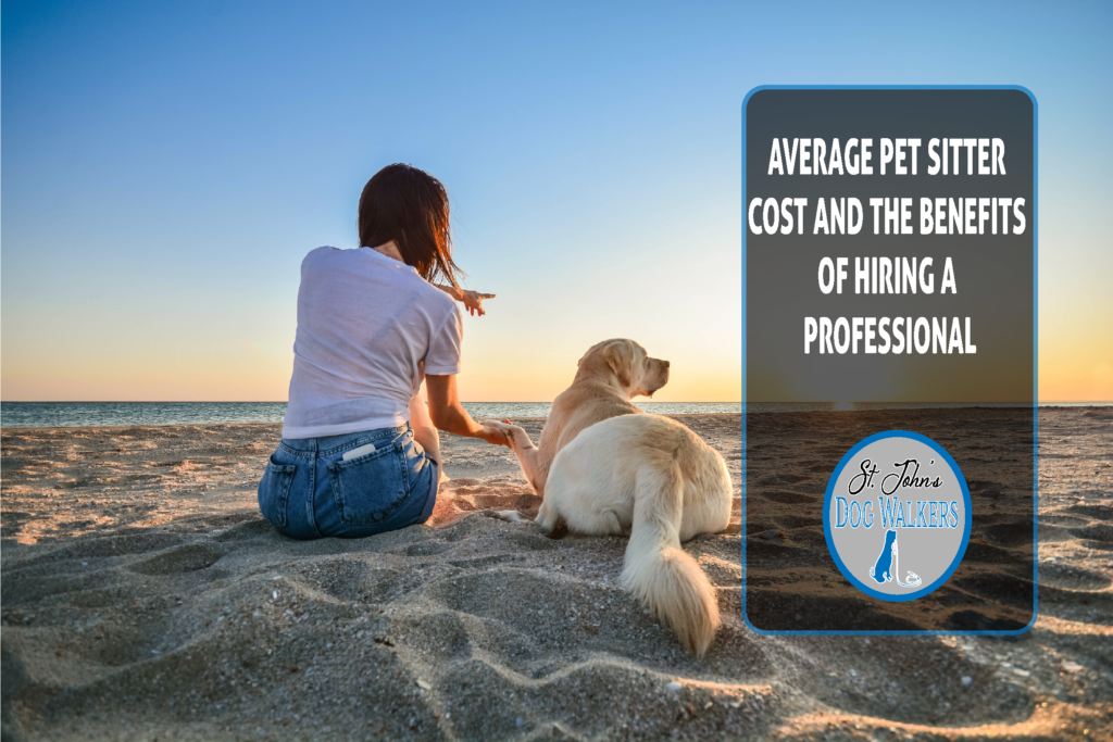 average pet sitter cost and the benefits of hiring a professional